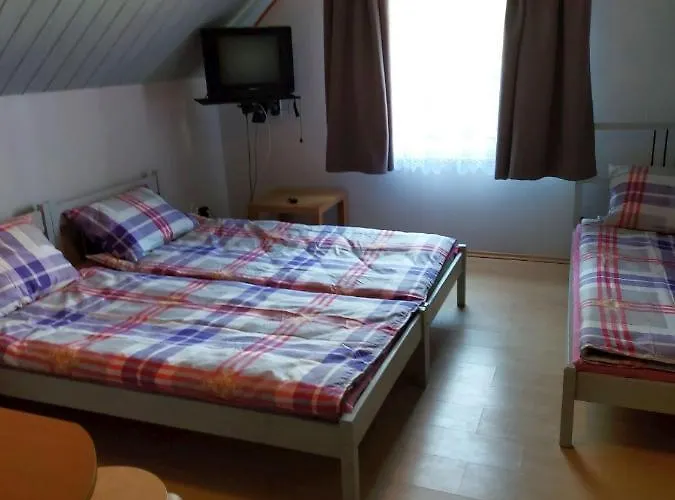 ホームステイ Goscinne Aga